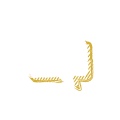 Chat icon